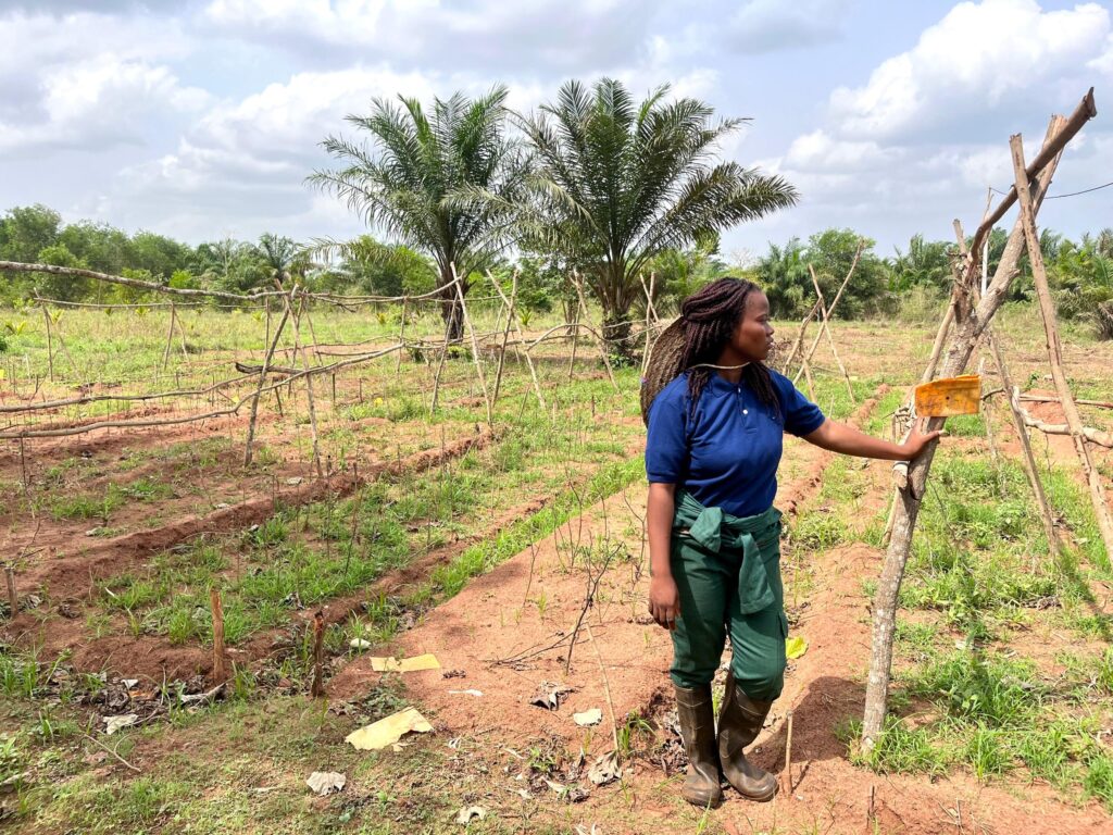 Beyond Training – Join a Community of Change-Makers!